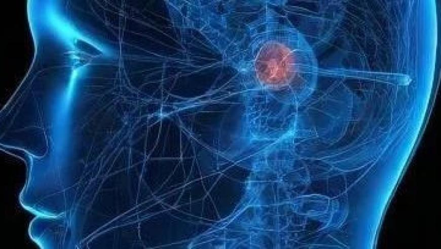 精准五肖平特六尾,越南国会通过政府机构改革,国产化作答解释落实_手游版v9.87
