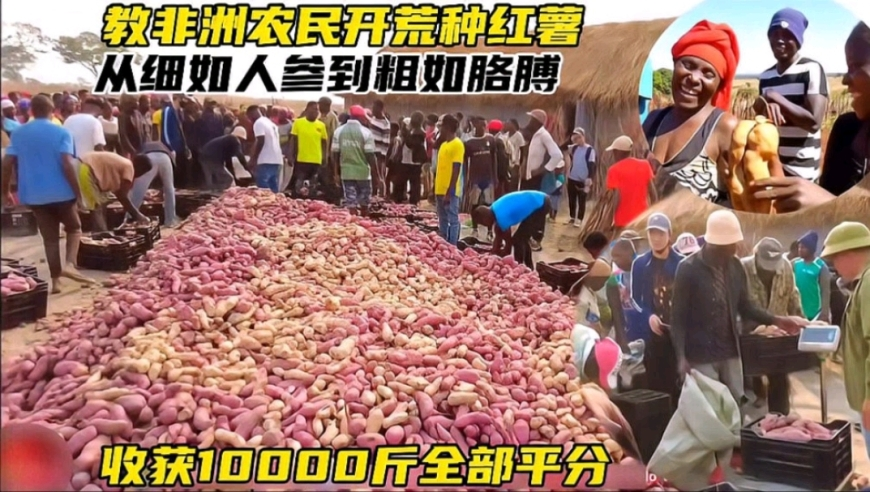 2025年5682神算网开奖,杜特尔特家族的特殊关系_投资版v6.15