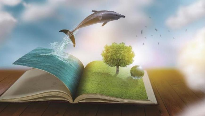 香港管家婆精准资料大全,韩国顶尖学者赴中国任职_测试版v3.39