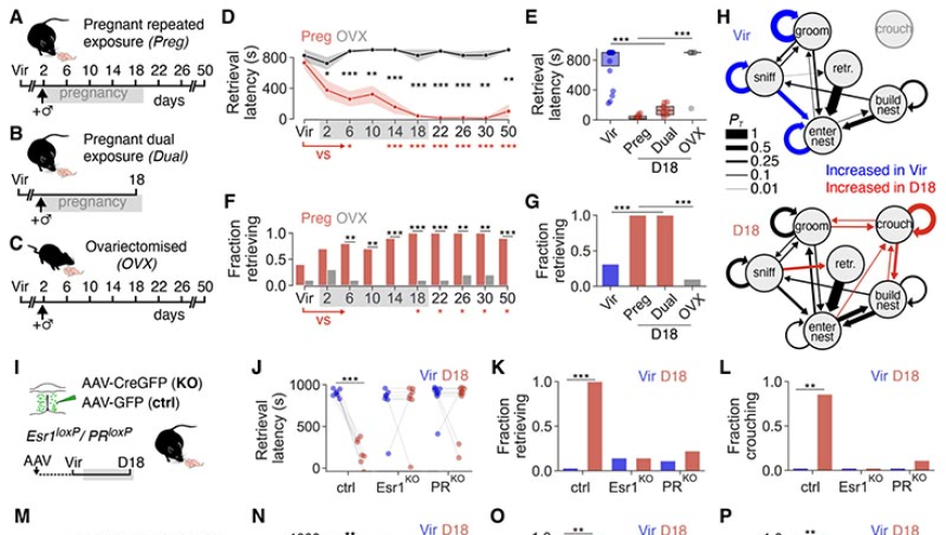 今晚必中一码一肖澳门特料,特朗普指控科米暗示刺杀_云端版v15.6