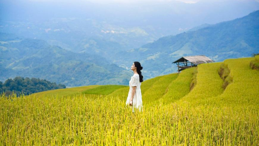 正版必中一肖中特,三亚住宿新规试行_网红版v15.92