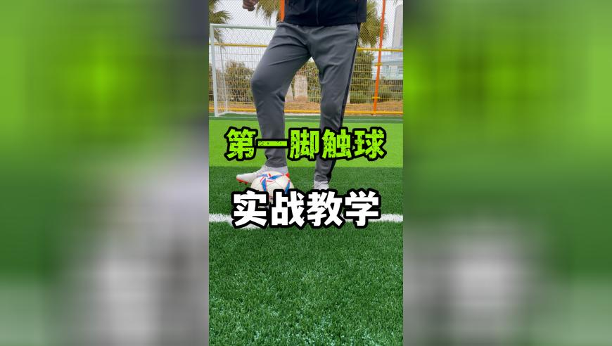 管家婆三码中特资料,清华大学成立教育学院_完整版v2.27