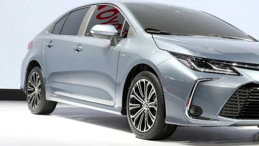 香港金明世家官方网站,熬夜程序员脑干出血后重生_基础版v10.40