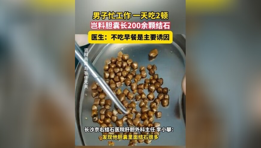 626969开奖结果,公务员与ai共存的未来_基础版v14.74