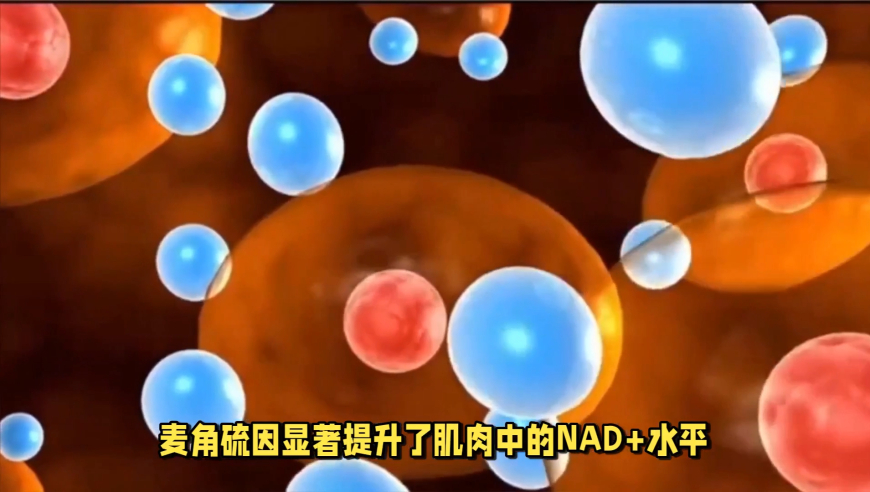 999966com开奖结果,美财长倡导产业回流_界面版v7.70