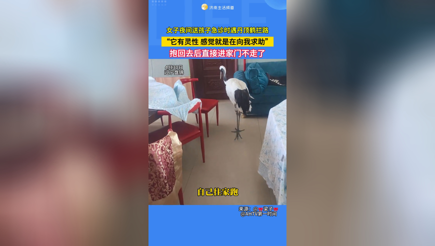 六合开奖现场直播视频,智驾监管新规落地_高清版v5.10