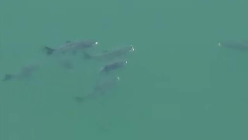 天下赢彩彩票与你同行资料,辅助驾驶系统的信任危机_精英版v12.54